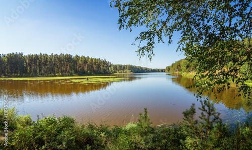 летний пейзаж на берегу уральской реки Иртыш, Россия