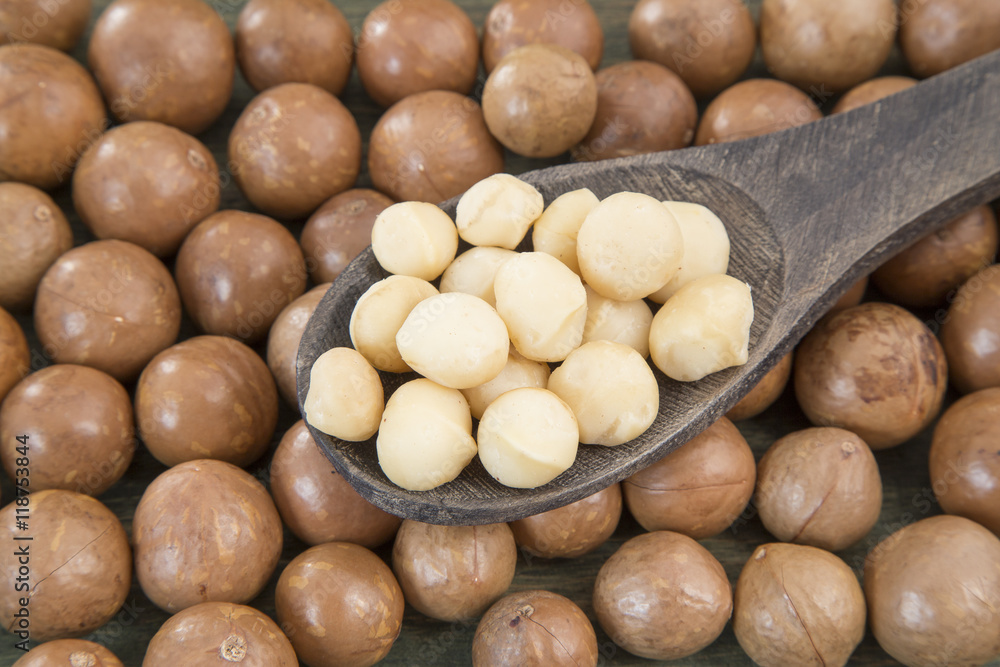Macadamia nuts in wooden spoon. Macadamia nuts in wooden spoon.