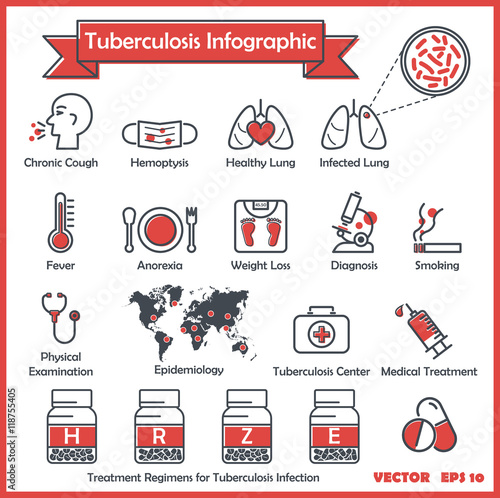 Tuberculosis (TB) infographics : TB symptoms (chronic cough,hemoptysis,fever,weight loss, anorexia ,night sweating) , Diagnosis for TB( collect sputum AFB , chest x - ray ) , Treatment regimens for TB