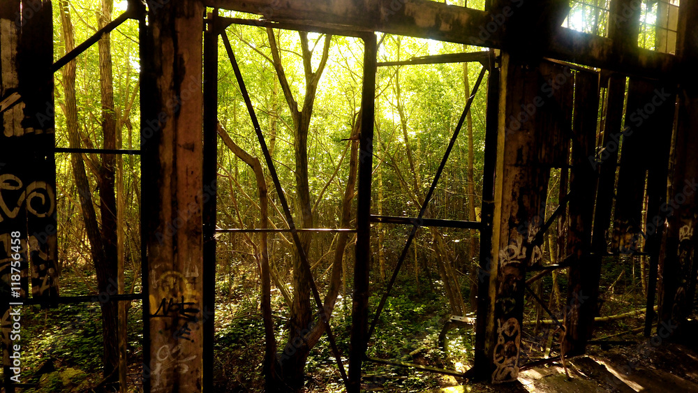 Ruine Blick durchs Fenster ins grüne