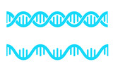 dNA strand, mRNA strand, double helix, 