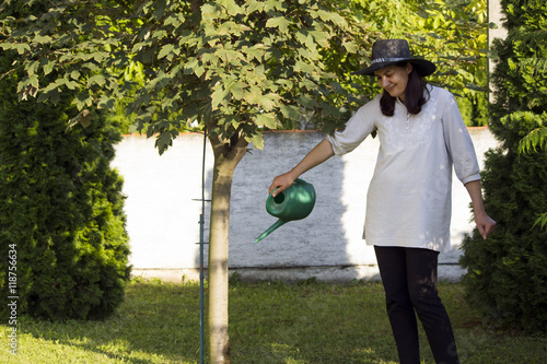woman watering tree