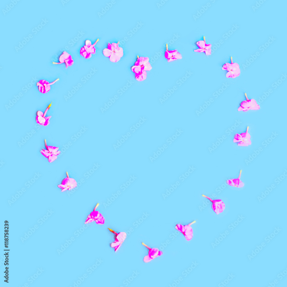 Heart shape of petals flowers over colorful blue background