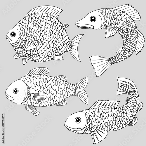 Set of four creative cartoon fishes for coloring pages or other, drawned with black otlines. photo