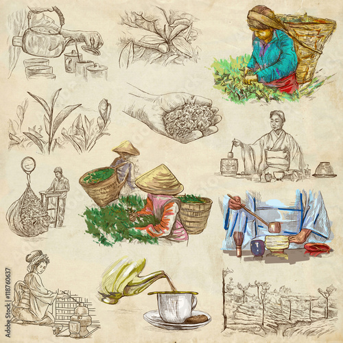 Tea Processing. Agriculture. An hand drawn illustration. photo