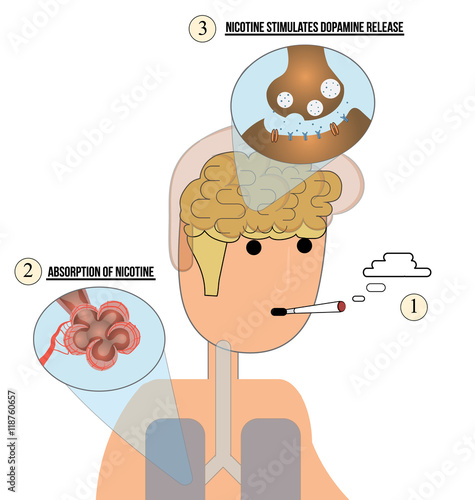Nicotine addiction mechanism vector illustration.Addicted smoking man