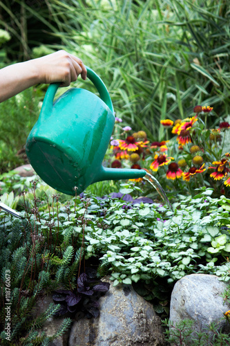 watering garden