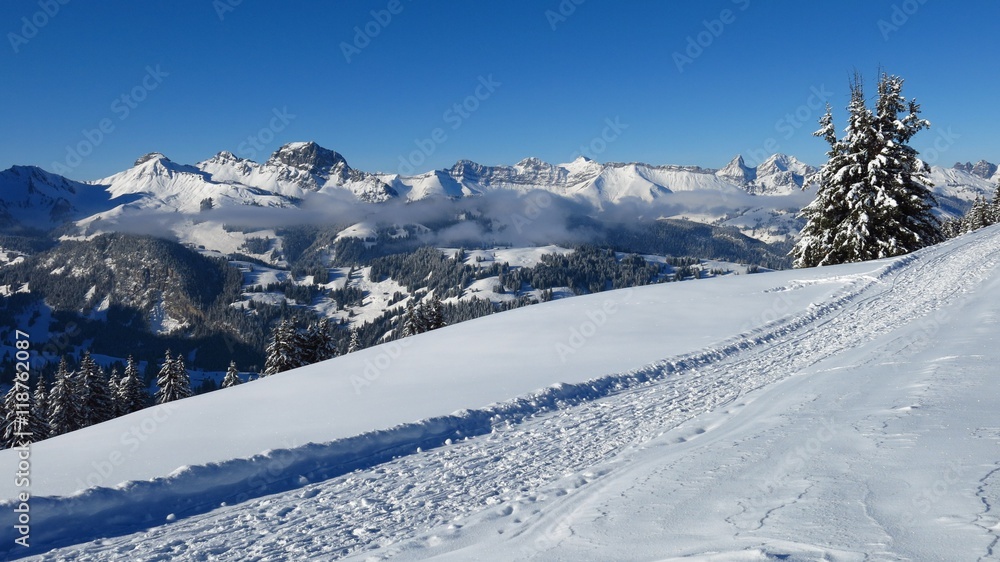 Fototapeta premium Winter hiking path on Mt Wispile
