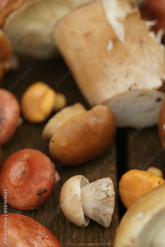 mushrooms mushrooms