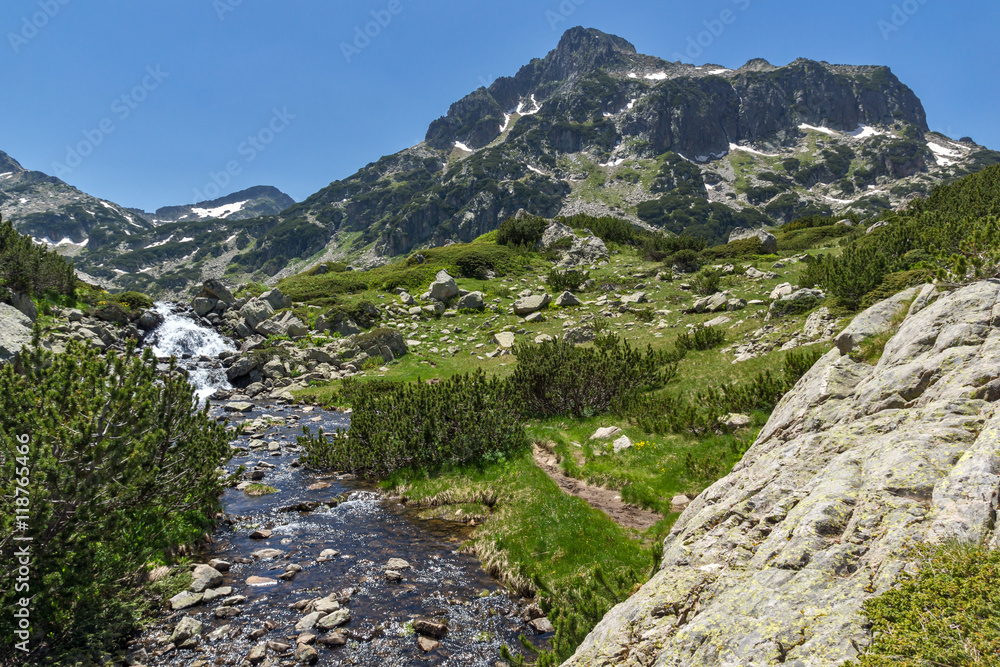 Obraz premium River and Dzhangal peak, Pirin Mountain, Bulgaria