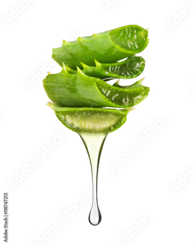 Essence from aloe vera plant dripping from leaves on white