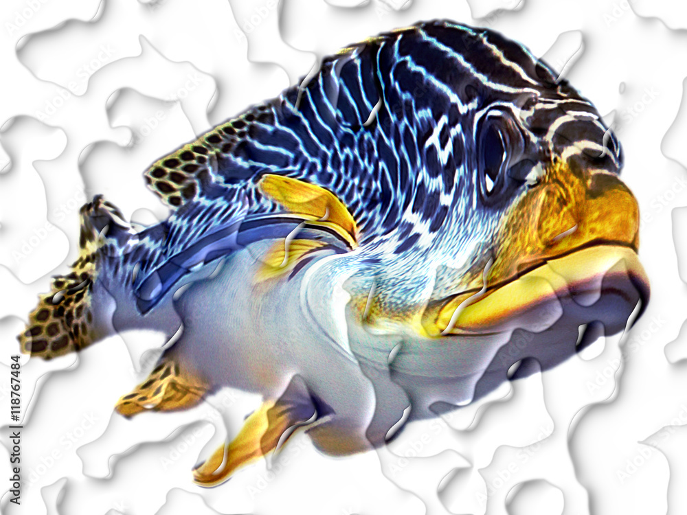 Abitanti dei fondali marini Abitanti dei fondali marini