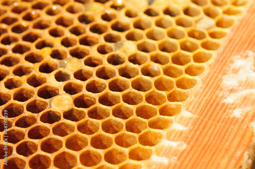 	 	
Yellow honeycomb.

