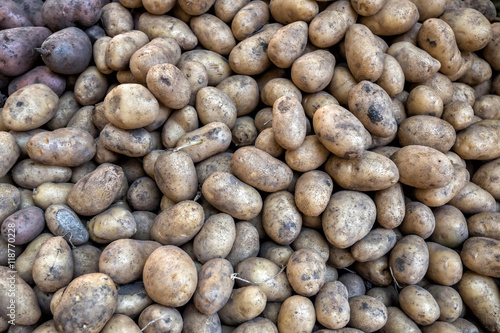Potatoes for selling