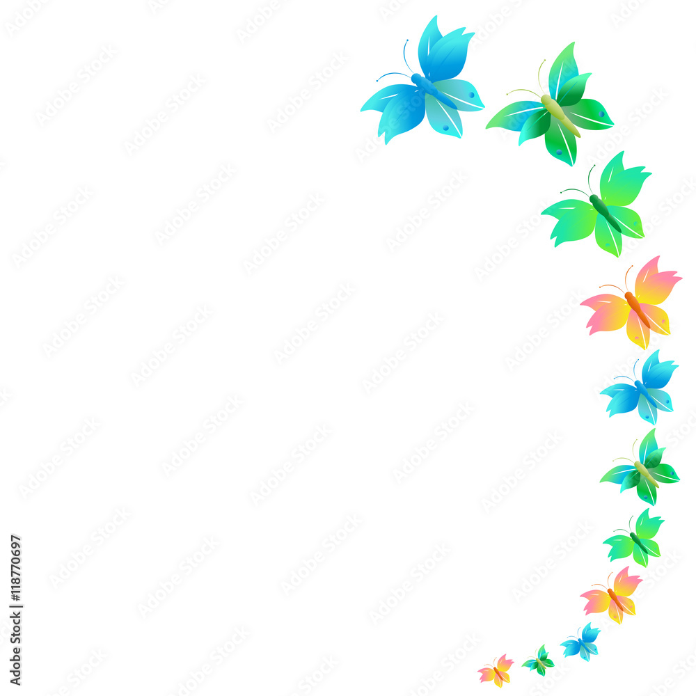 butterfly butterfly