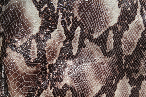 Bilde på lerret Snake Skin