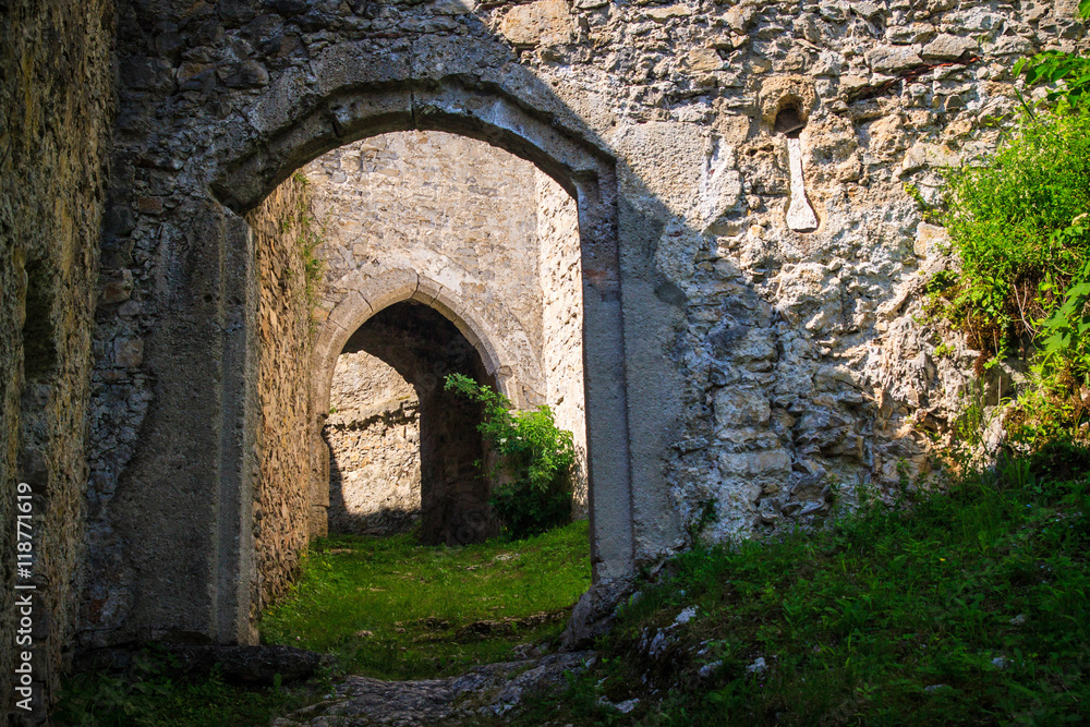 Medival castle entry gate