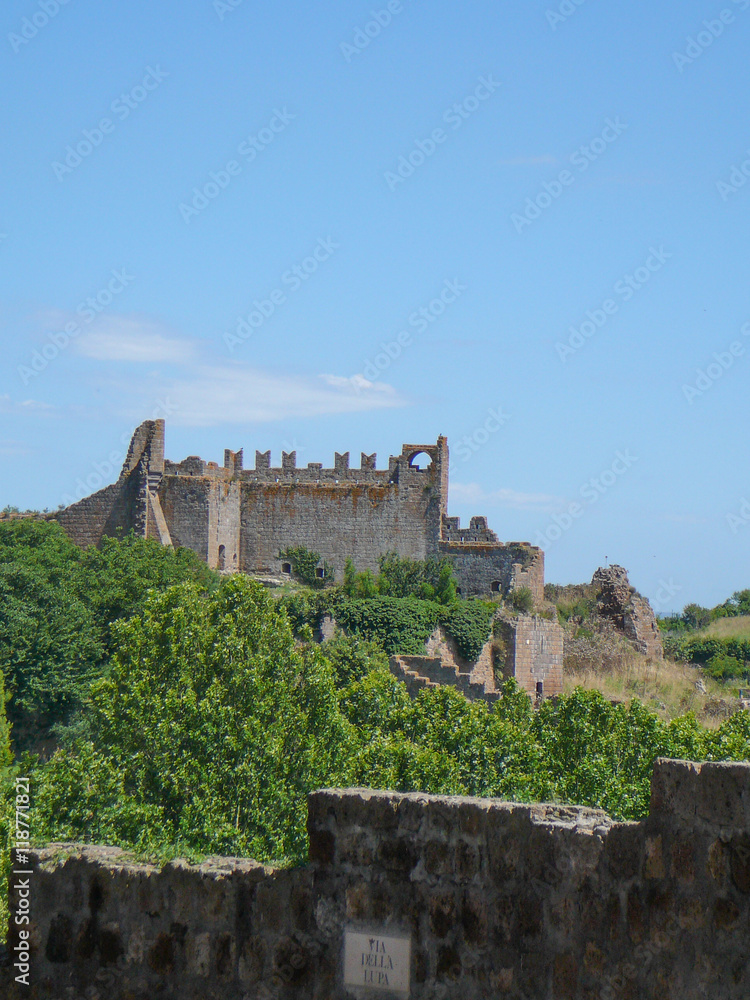 View of the city of Tuscania