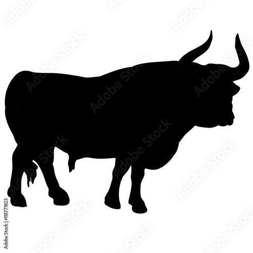 Silhouette of a cow. vector bull or buffalo 