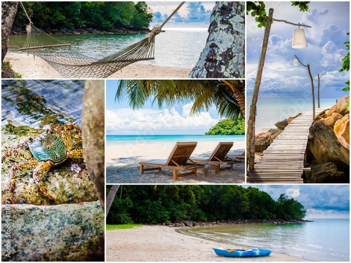 Photo collage of tropical beach with palm trees