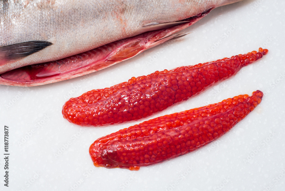 Salmon fishs on white background Salmon fishs on white background