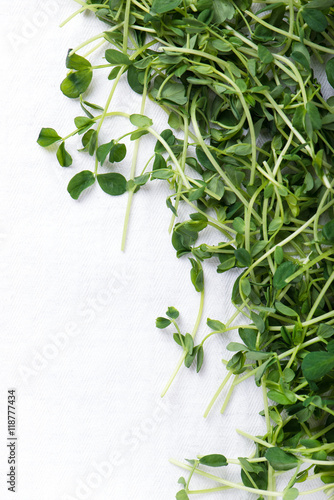 heap of organic and freshly harvested snow pea shoots or sprouts, over white kitchen cloth with copy space, top view, vertical