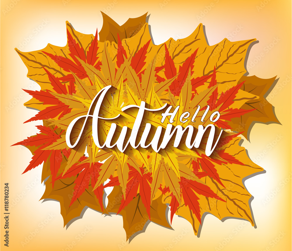 Vector illustration for autumn and thanksgving Vector illustration for autumn and thanksgving