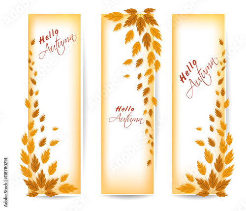 Three autumn banners with colorful leaves Vector photo