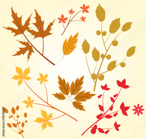 Vector illustration for autumn and thanksgving