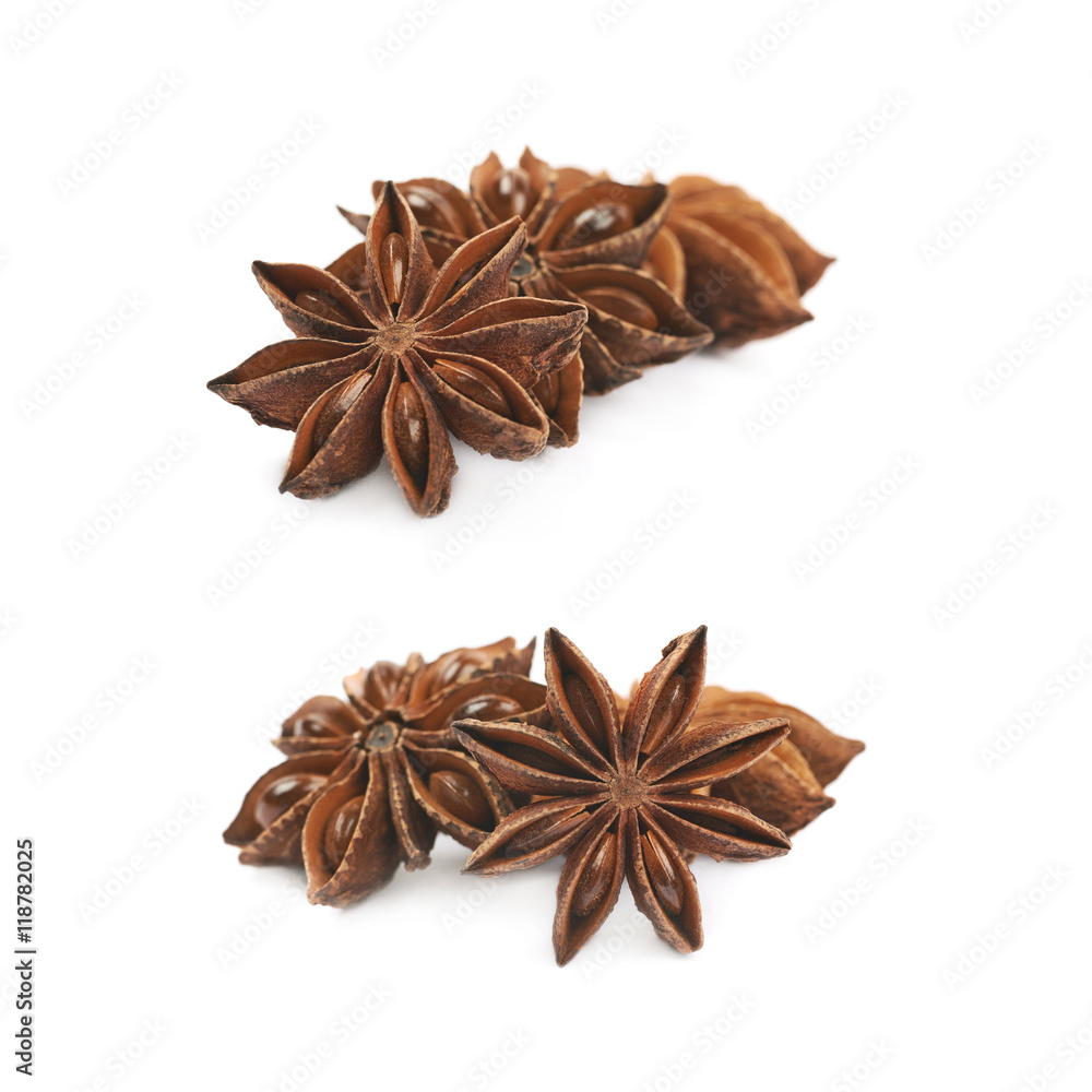 Chinese star anise seed isolated Chinese star anise seed isolated