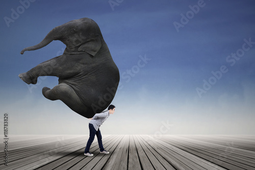 Photography Businessman carrying heavy elephant