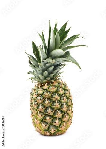 Ripe pineapple fruit isolated