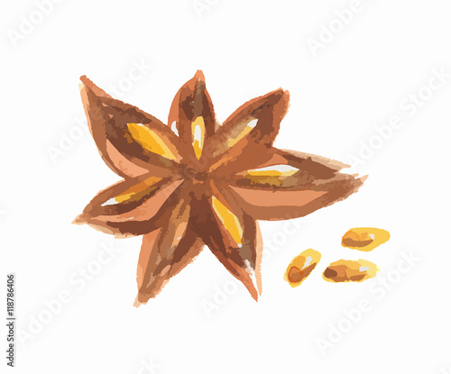 Watercolor star anise. Isolated spice on white background. Seasoning for meal or dessert.