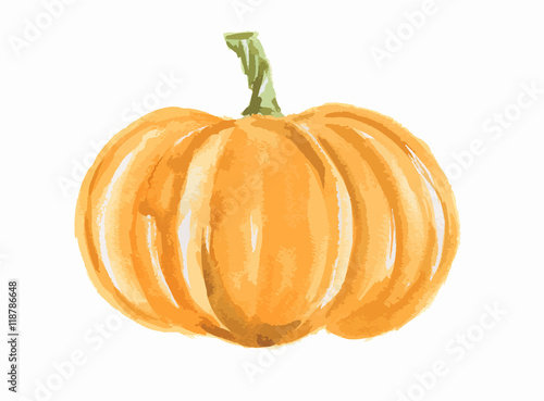 Isolated watercolor pumpkin. Fresh and healthy vegetable with vitamins. Farm vegetables.
