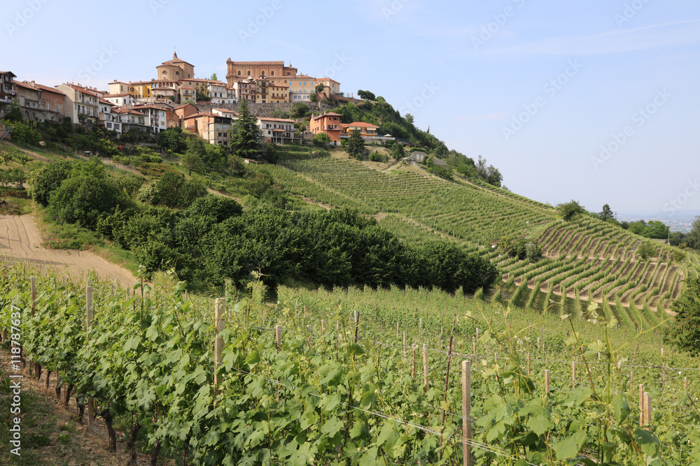 Vineyard in front of La Morra in Piedmont. Italy