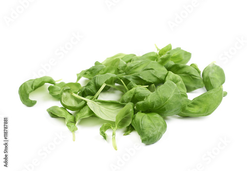 Pile of basil leaves isolated