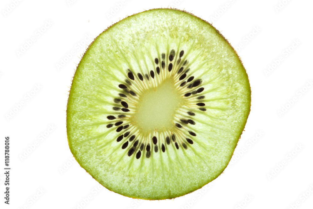 Slice of fresh kiwi fruit isolated on white background Slice of fresh kiwi fruit isolated on white background