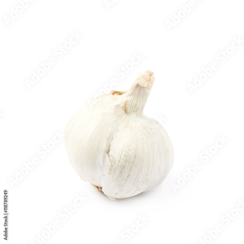 Single bulb of garlic isolated