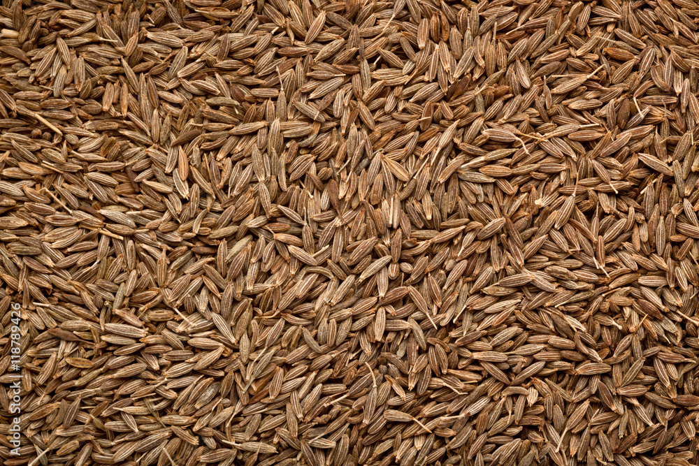 Cumin seeds