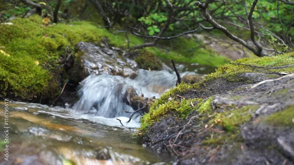 Small brook and stones with green moss and sound of nature Small brook and stones with green moss and sound of nature