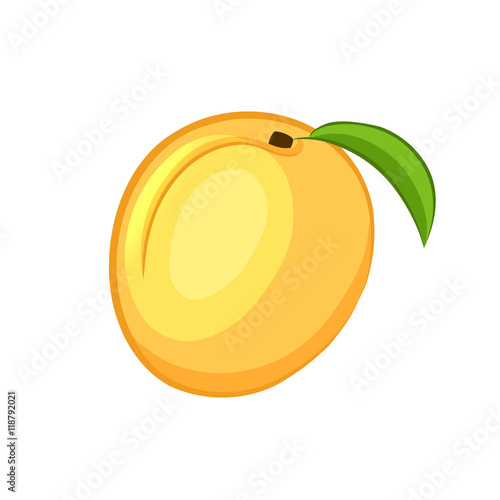 Apricot. Cartoon icon. Isolated object on a white background. Vector illustration.