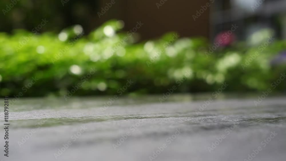 on the bench at nature blurred background on the bench at nature blurred background