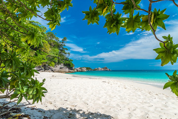 Crédence de cuisine Plage tropicale Île tropicale sable blanc vacances été  © pla2na