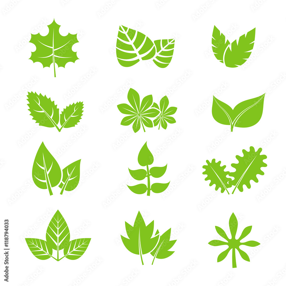 Green leaves vector icons set Green leaves vector icons set