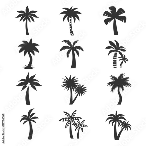 Tropical palm tree vector icons set. Silhouettes on the white background