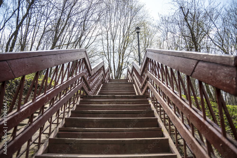 Beautiful wooden stairs in the blue sky. Stairs in the park. Stairs through trees.