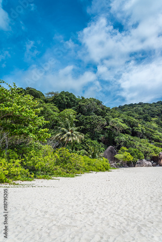 Beautiful tropical similan island white sand beach - Travel summer beach holiday concept. 