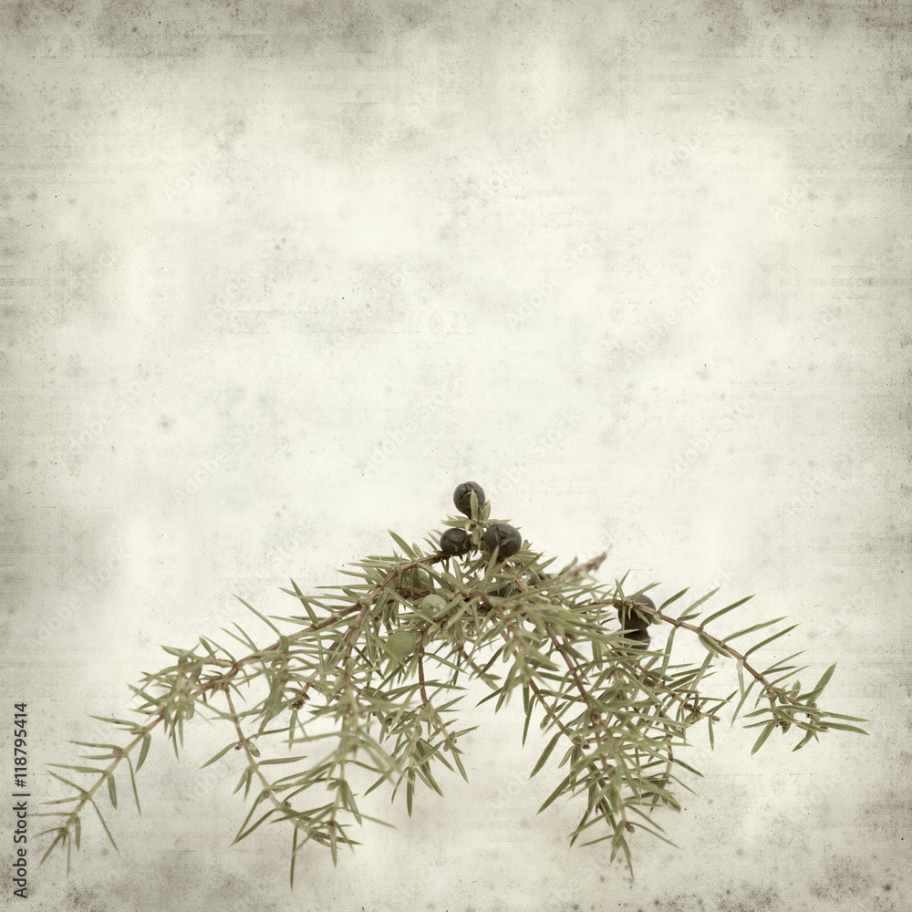 Fototapeta premium textured old paper background