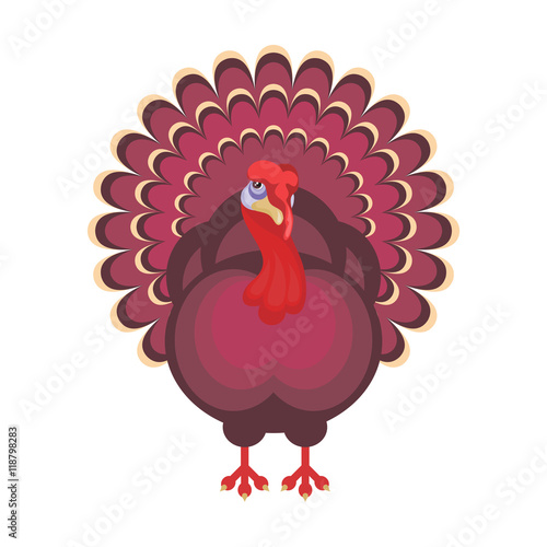 the image of a big beautiful Turkey in cartoon style