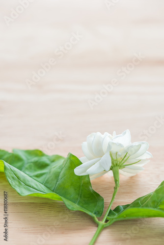 Close-up Jasmine flowers on a wood table
